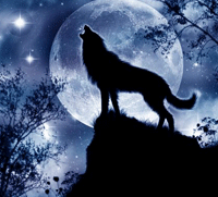NighTwolF